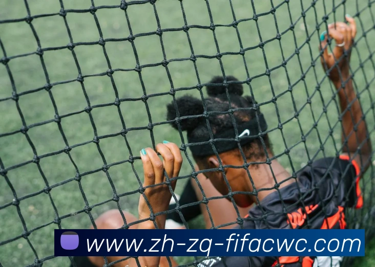 App Interface Preview