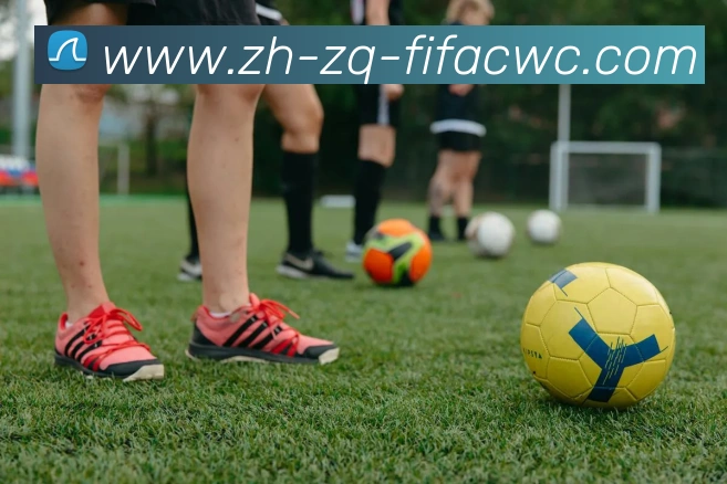 世界杯在线观看APP 封面图