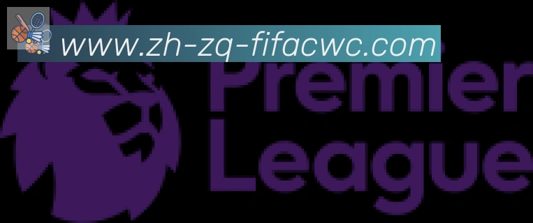 世界杯在线观看合作伙伴